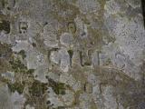 image of grave number 788614